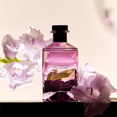 InSweet Dreams’ Midst